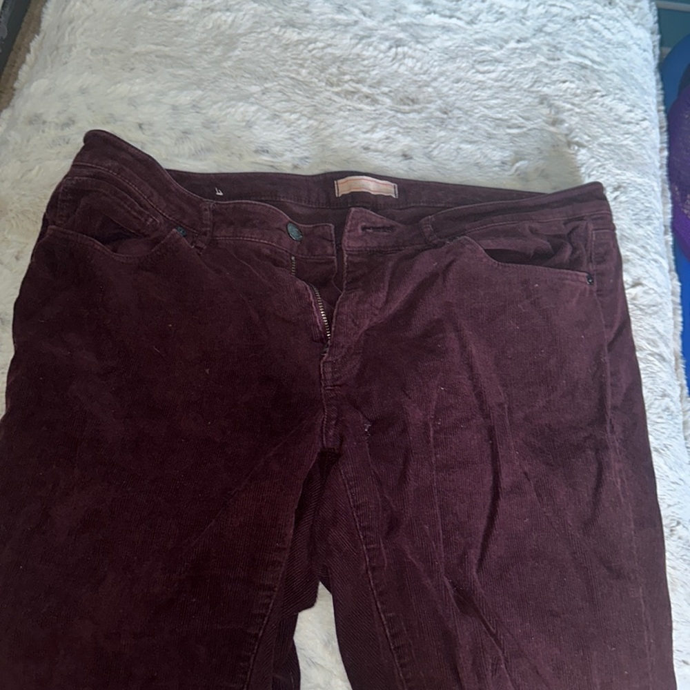Uniqlo corduroy skinny jeans